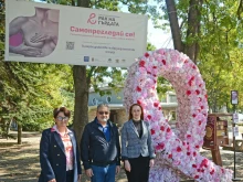 Поставиха "Розова панделка" в Морската градина във Варна в подкрепа на ранната диагностика на рака на гърдата
