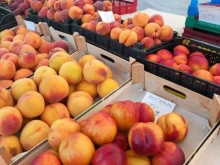 Стотици български овощари ще получат подпомагане, забавено с близо 5 месеца