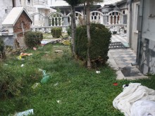 Полицията открила само костенурки в именията на Рашкови