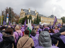 Протест и автошествие за по-високи доходи започна в София