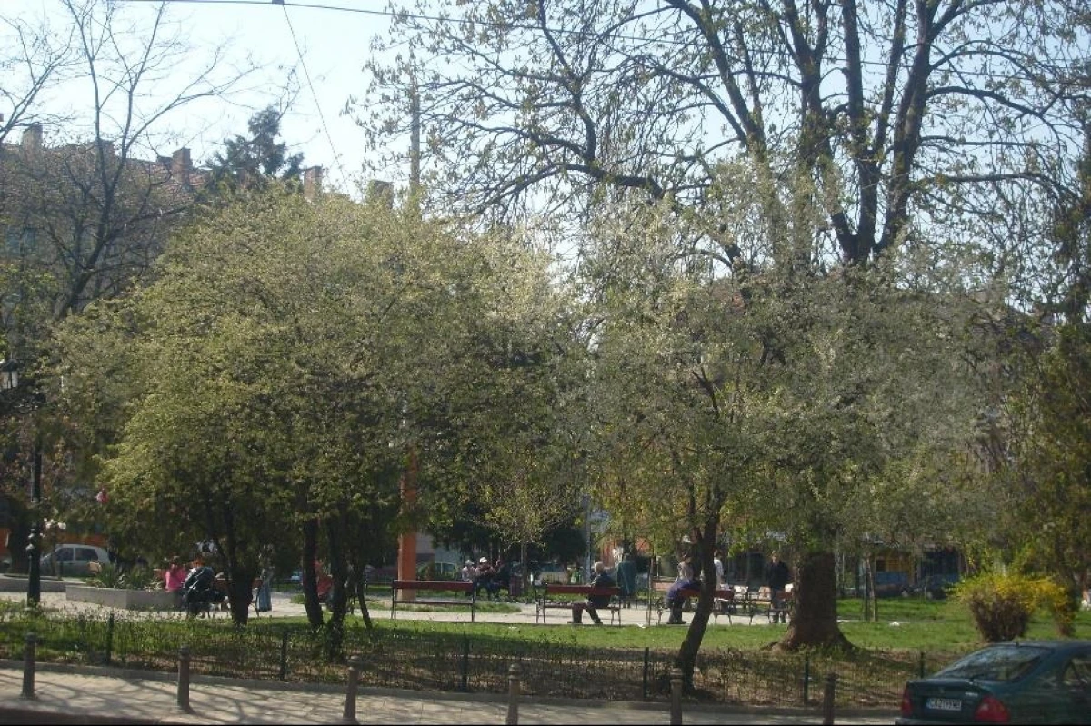 Временни ограничения за паркиране в София от 19 октомври