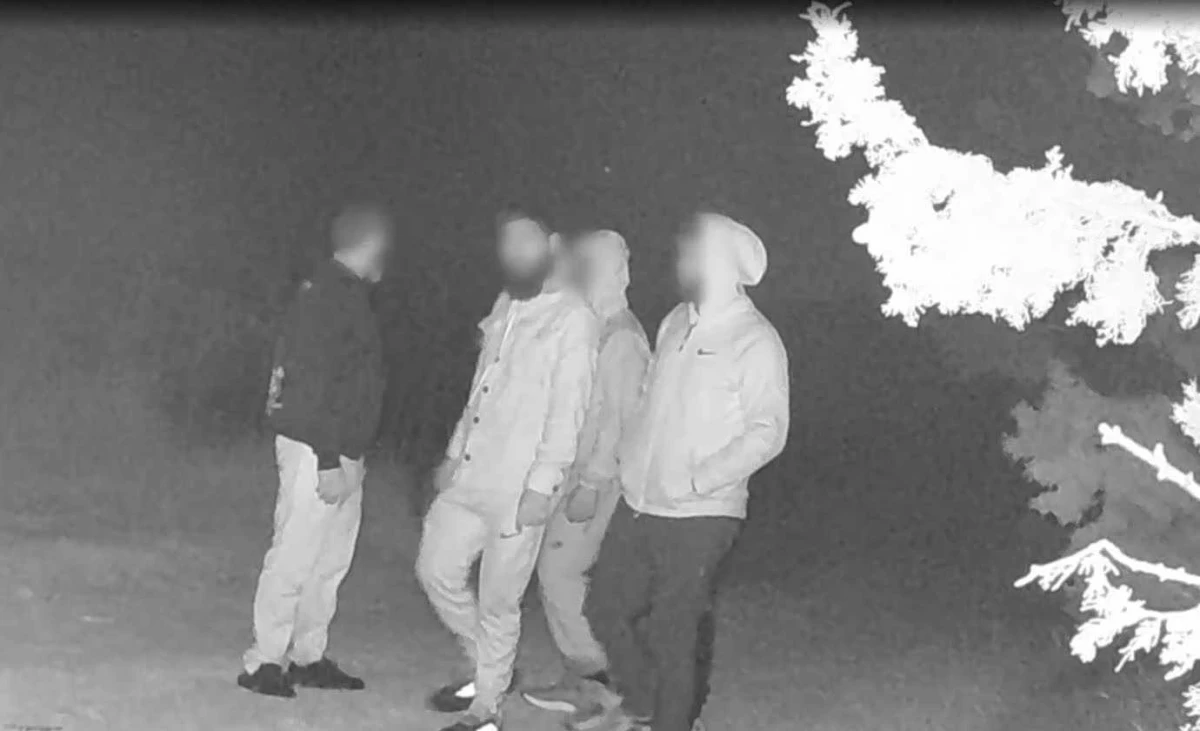 Българи са арестувани за кражба на кабели за 1 млн. евро в Гърция