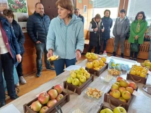 Представиха съвременни технологии за отглеждане на ябълки в Кюстендил
