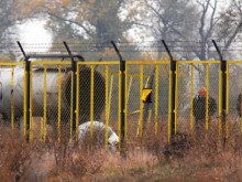 Семействата на жертвите на газопровода научили за трагедията от медиите