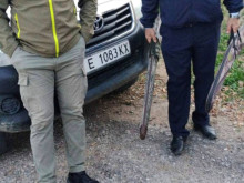 Задържаха ловци по време на незаконен лов в гората край Петрич