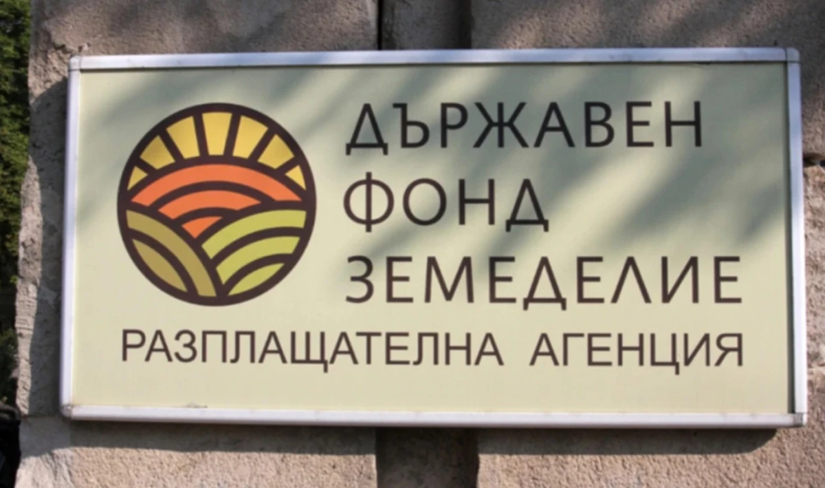 11,29 млн. евро получиха от ДФЗ част от животновъдите