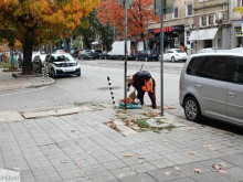 Софийски район организира почистване на тротоари и зелени площи