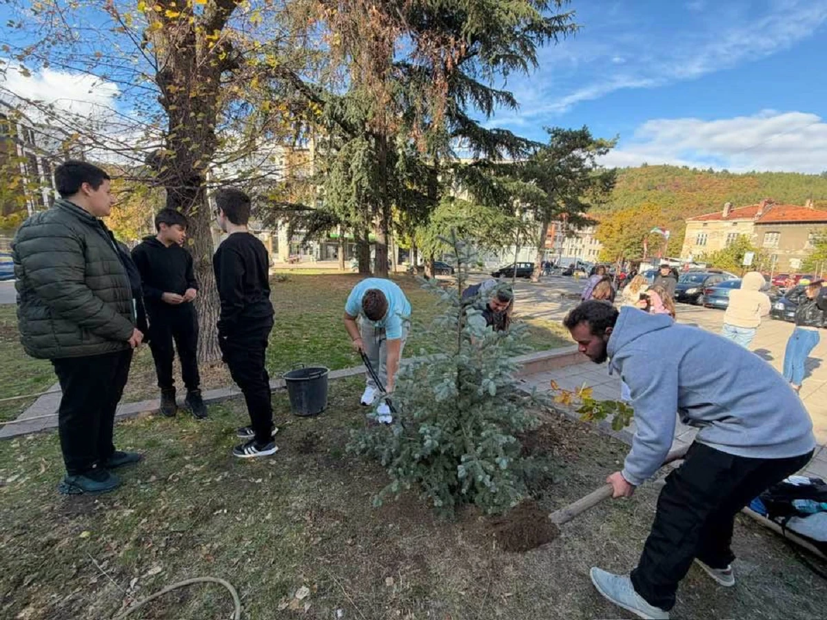 Засадиха нови дървесни видове в централната част на Дупница