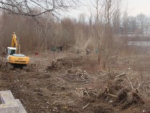 Община Пловдив набира документи за предоставяне на дърва за огрев
