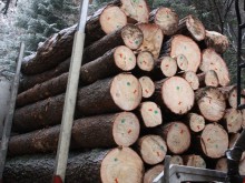 Поставят пластмасови пластини върху строителната дървесина