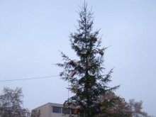 Малчугани направиха украсата за елхата в район "Северен"