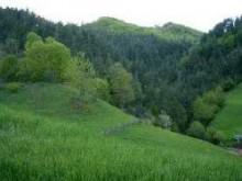 Възстановяват дивата природа в Източните Родопи