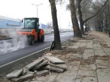 Корени на дървета пречат на пловдивчани 