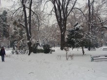 21 бездомници са спасени от измръзване