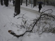 Още две седмици студ, след 20-ти започва трайно затопляне