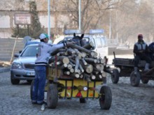 50% от дървесината ще се продава на стоковата борса 