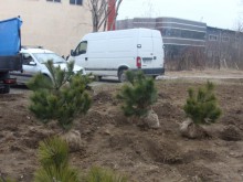 Стартира инициативата "Чиста пролет 2012" в район "Северен"