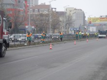 Влизаме в Пловдив сред оазис от рози