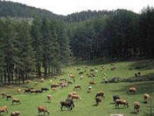 Туристически център "Перелик" посреща скиори в края на 2008 г.