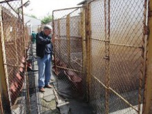 Прегласуваха 20 000 лв. за ремонт на временния приют за бездомни животни