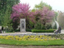 Спортен полуден и игри на открито в Градската градина в Пловдив 