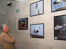 Димитър Лазаров с награда от организаторите на Международния фестивал Белият щъркел