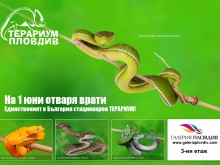 В Пловдив откриват единствения стационарен терариум в България