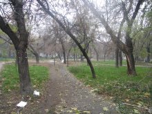 Областната управа спира решение за градинката на ул. Родопи