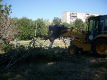 В район "Западен" монтират пейки и премахват опасни тополи