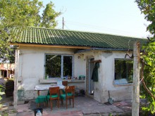 Баба Дори: След пожара вече не ми се живееше, но добрите хора ми вдъхнаха живот