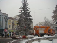 Елхата от центъра става на пейки