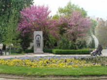 Емоционална надпревара в Градската градина за Международния ден на на младежта