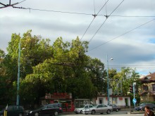 Повредена тролейбусна мрежа до Централна гара, има полиция и спецгрупа