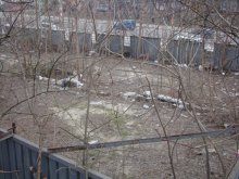 Юристи и министерства развързват казуса "Базилика"