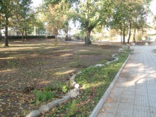 Предстои откриването на реновирания парк в "Коматево"