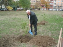 Поредна залесителна акция в "Южен"