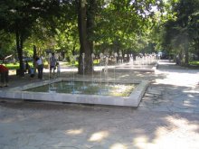 „Южен” започва озеленяване