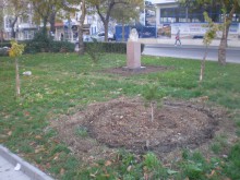 Залесиха парк "Чехов" в "Северен"