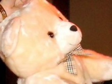 Благотворителна акция за събиране на плюшени играчки в "Северен"