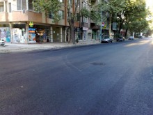 Кестените на бул. "Христо Ботев" цъфнаха по никое време