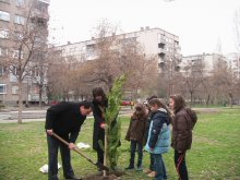 Малчугани и управници от "Южен" засадиха дръвчета в два парка