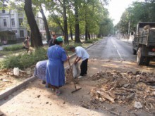 Няма да изсичат чинарите при реконструкцията на бул. "Руски"!