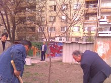 Започна залесяването и в район "Източен"