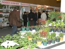 Показват екзотични растения в панаира