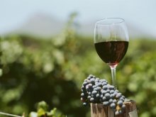 Сицилия за първи път на Винария 2008