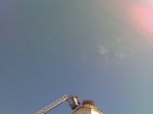 Щъркелите се върнаха на купола на църквата "Свети Илия"