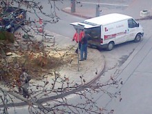 Кметът бесен заради отсеченото дърво на "Руски"