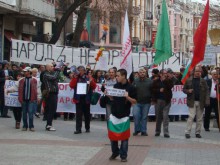 30-на души на 30-я поред протест в Пловдив 