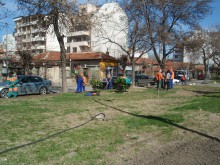 Затревяват площи в "Южен"
