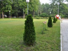 МОСВ организира конкурс за деца "Обичам природата и аз участвам"